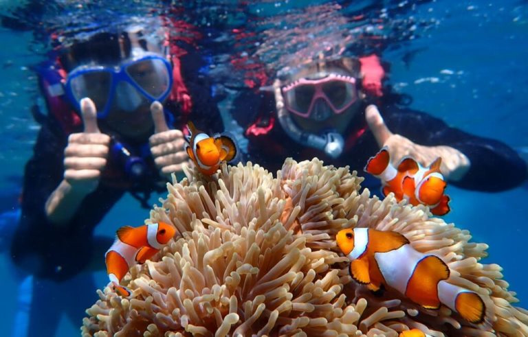 10 Tips Memilih Paket Wisata Karimunjawa yang Tepat