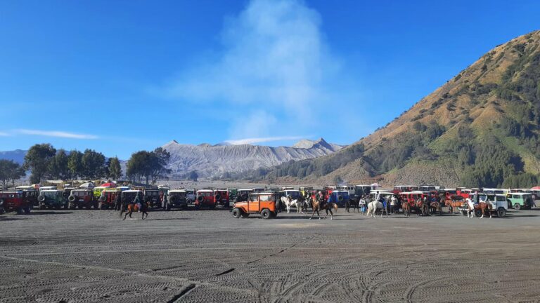 Panduan Memilih Open Trip Wisata Bromo yang Aman dan Terpercaya