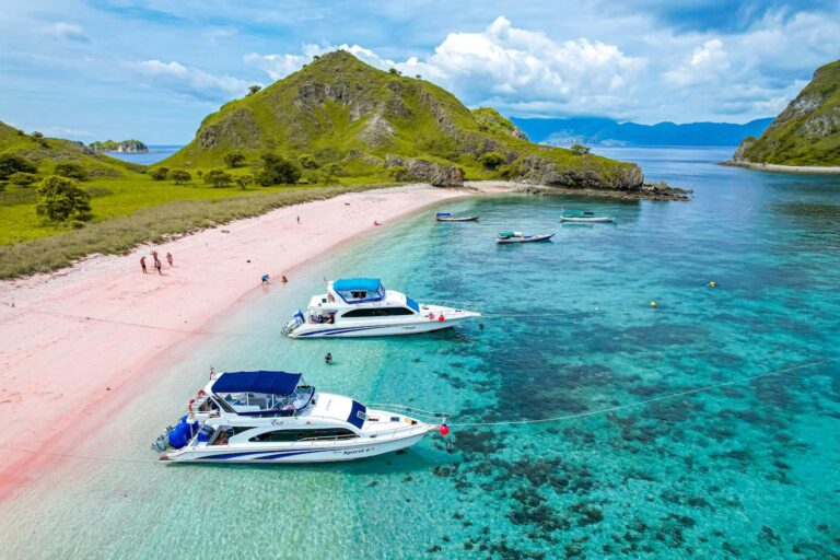 Panduan Memilih Tour Guide yang Kompeten untuk Perjalanan Anda di Labuan Bajo