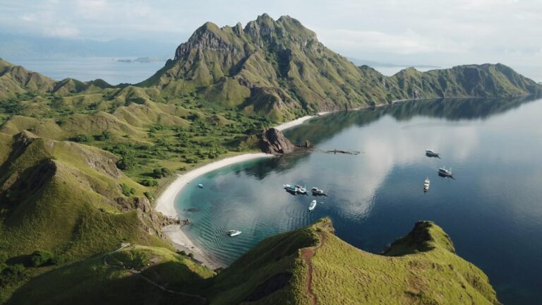 Tips Memilih Layanan Tour yang Tepat untuk Liburan Tak Terlupakan di Labuan Bajo