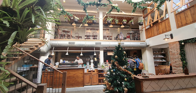 Kopi Nikmat dengan Suasana Asri di Lucky Cat Coffee & Kitchen Jakarta