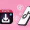 Tips SnapTik Agar Video TikTok Bisa Disimpan Offline