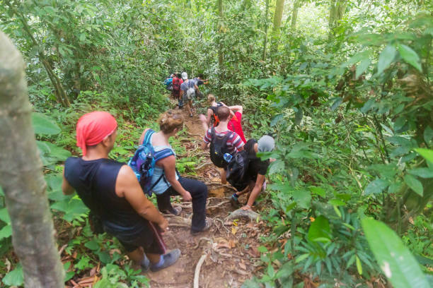 Cara Menikmati Petualangan Jungle Trekking Aman di Bukit Lawang Sumatra