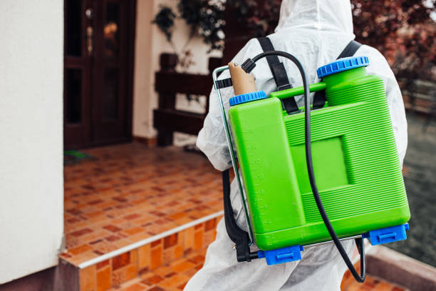 Cara Tepat Memilih Layanan Pembasmi Rayap yang Profesional